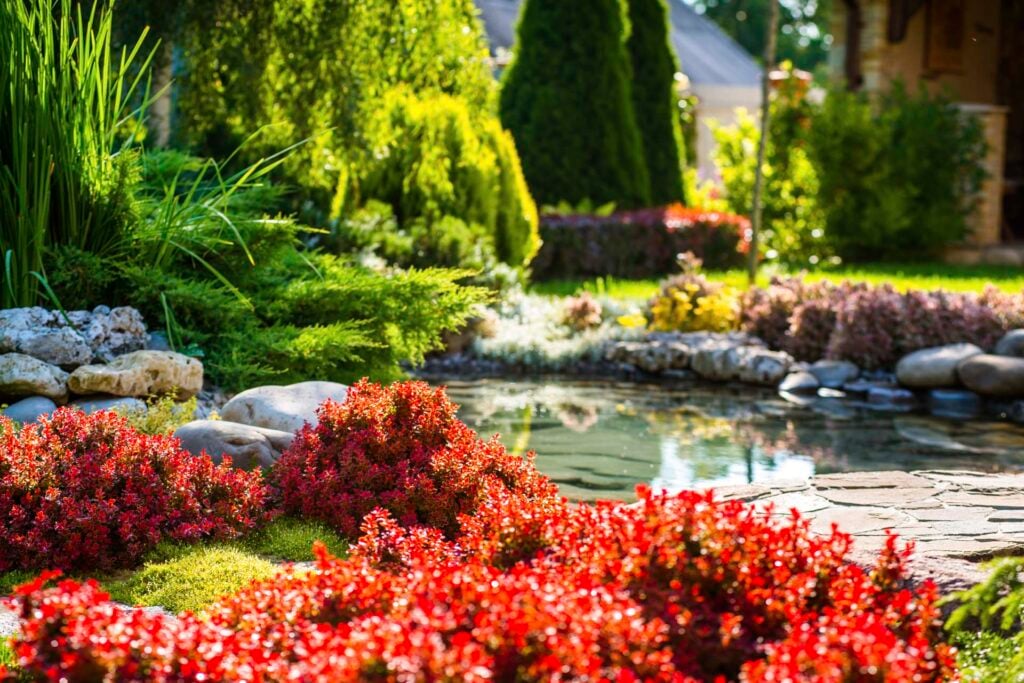 beautiful landscaping with beautiful plants and flowers